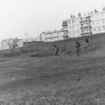 My beautiful picture